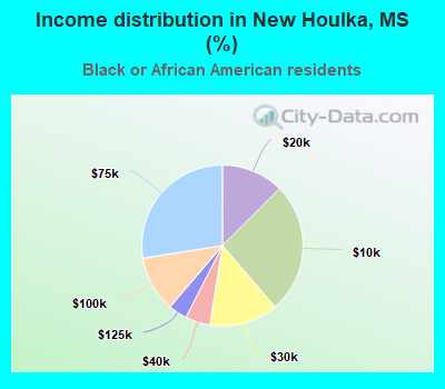 Income distribution in New Houlka, MS (%)