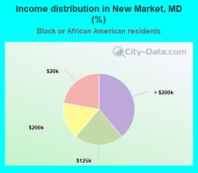 Income distribution in New Market, MD (%)