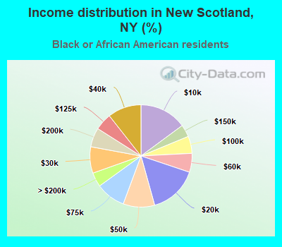Income distribution in New Scotland, NY (%)