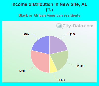 Income distribution in New Site, AL (%)