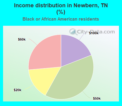 Income distribution in Newbern, TN (%)
