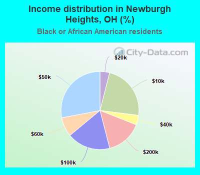 Income distribution in Newburgh Heights, OH (%)