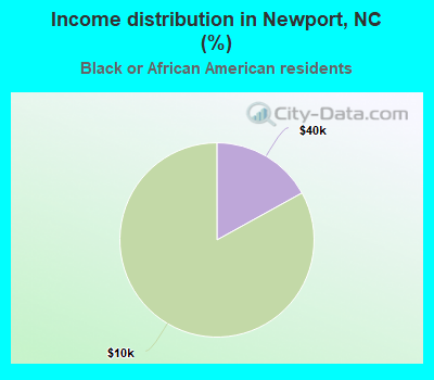 Income distribution in Newport, NC (%)
