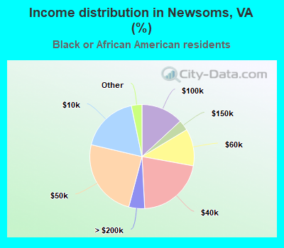 Income distribution in Newsoms, VA (%)