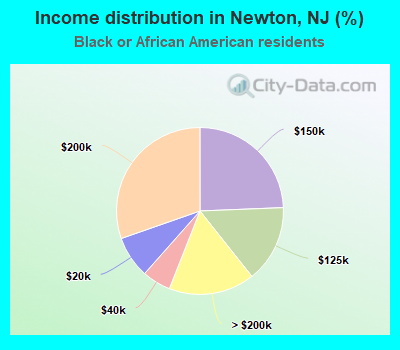 Income distribution in Newton, NJ (%)