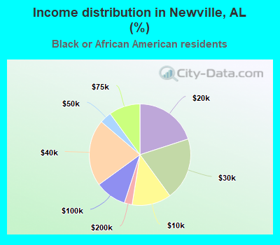 Income distribution in Newville, AL (%)