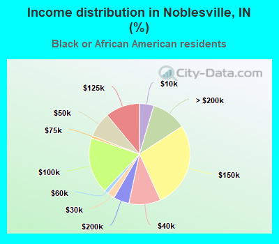 Income distribution in Noblesville, IN (%)