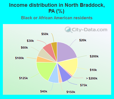 Income distribution in North Braddock, PA (%)