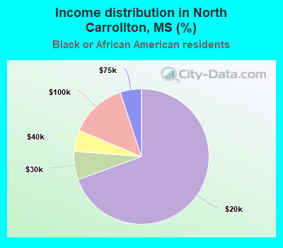 Income distribution in North Carrollton, MS (%)