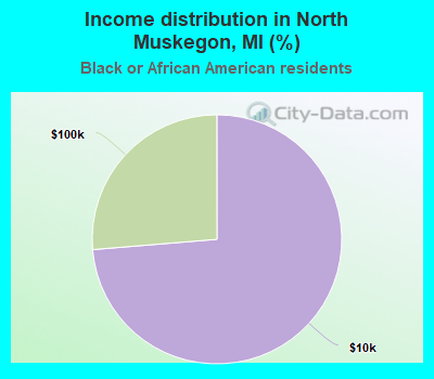 Income distribution in North Muskegon, MI (%)