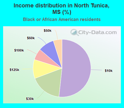 Income distribution in North Tunica, MS (%)