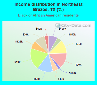 Income distribution in Northeast Brazos, TX (%)