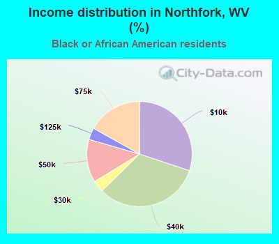 Income distribution in Northfork, WV (%)