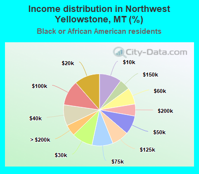 Income distribution in Northwest Yellowstone, MT (%)