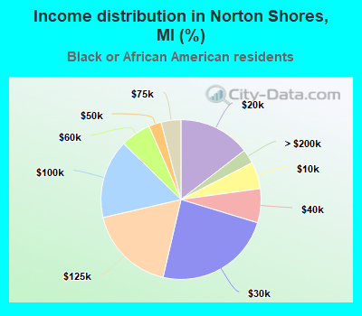 Income distribution in Norton Shores, MI (%)