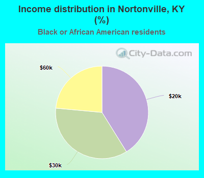 Income distribution in Nortonville, KY (%)