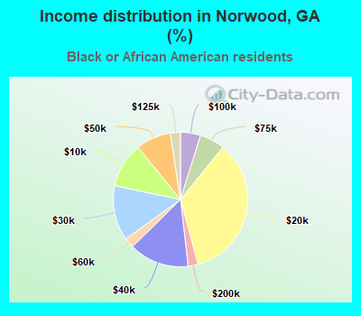 Income distribution in Norwood, GA (%)
