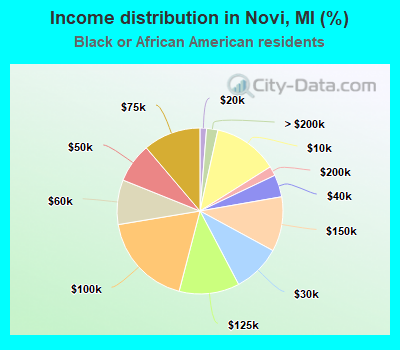 Income distribution in Novi, MI (%)