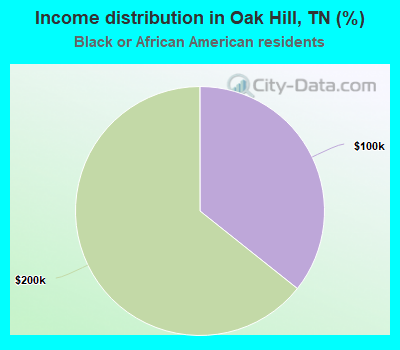 Income distribution in Oak Hill, TN (%)