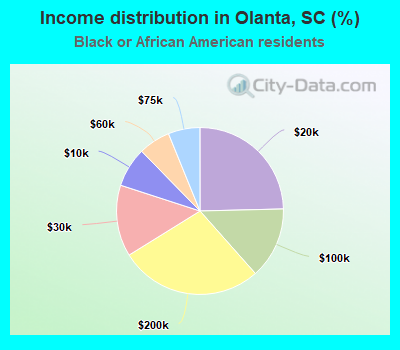 Income distribution in Olanta, SC (%)