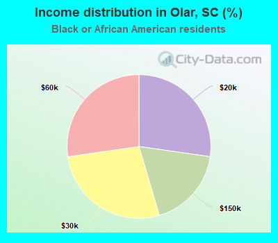 Income distribution in Olar, SC (%)