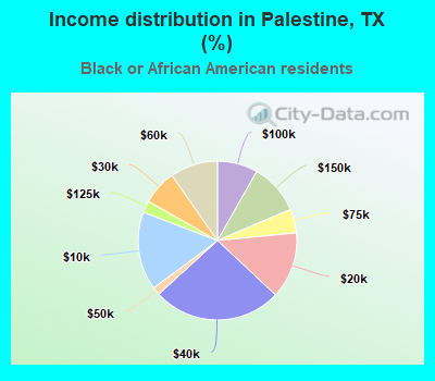 Income distribution in Palestine, TX (%)