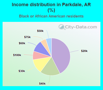 Income distribution in Parkdale, AR (%)