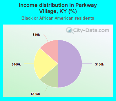 Income distribution in Parkway Village, KY (%)