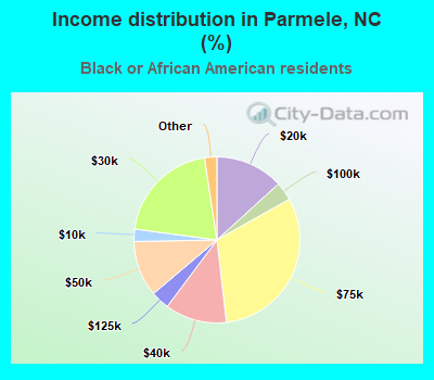 Income distribution in Parmele, NC (%)