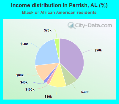 Income distribution in Parrish, AL (%)