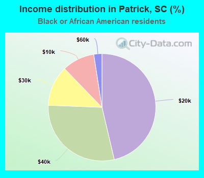 Income distribution in Patrick, SC (%)