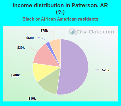 Income distribution in Patterson, AR (%)