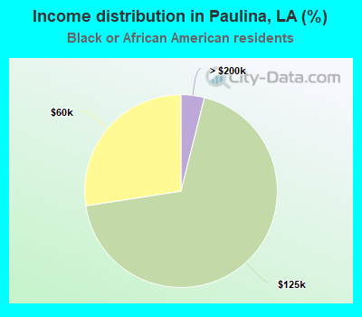 Income distribution in Paulina, LA (%)