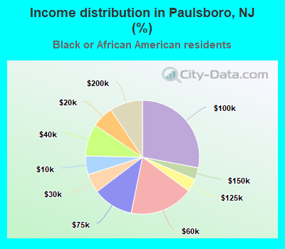 Income distribution in Paulsboro, NJ (%)