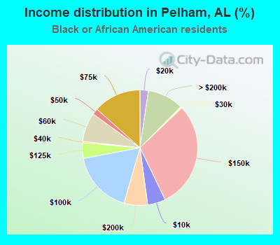 Income distribution in Pelham, AL (%)