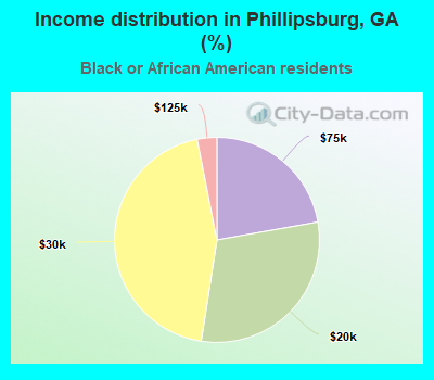 Income distribution in Phillipsburg, GA (%)