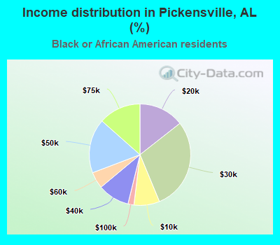 Income distribution in Pickensville, AL (%)