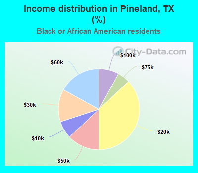 Income distribution in Pineland, TX (%)