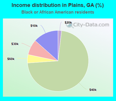 Income distribution in Plains, GA (%)