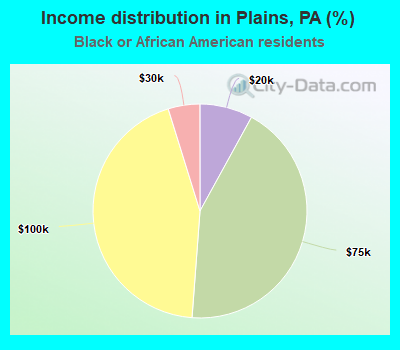 Income distribution in Plains, PA (%)