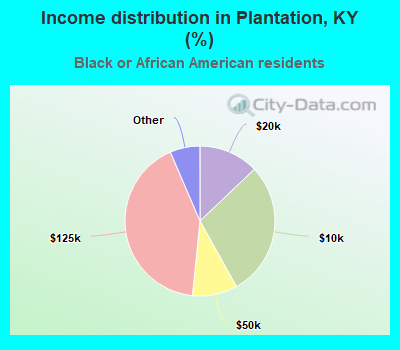 Income distribution in Plantation, KY (%)