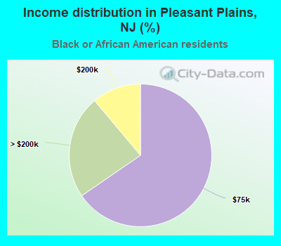 Income distribution in Pleasant Plains, NJ (%)