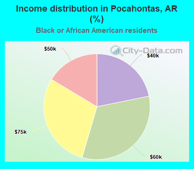 Income distribution in Pocahontas, AR (%)