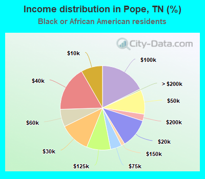 Income distribution in Pope, TN (%)