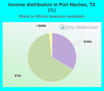 Income distribution in Port Neches, TX (%)
