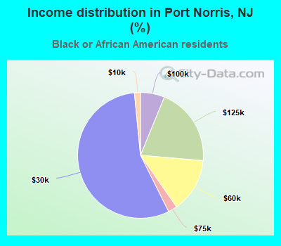 Income distribution in Port Norris, NJ (%)