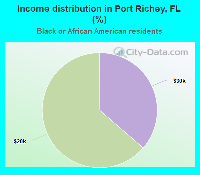 Income distribution in Port Richey, FL (%)