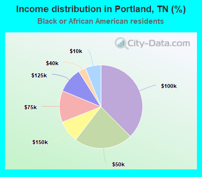 Income distribution in Portland, TN (%)