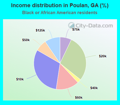 Income distribution in Poulan, GA (%)