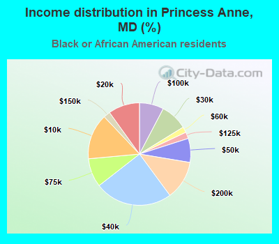Income distribution in Princess Anne, MD (%)